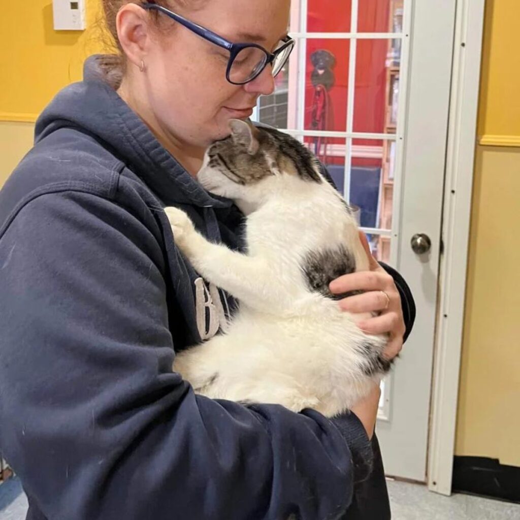 the woman is holding a colorful cat in her arms