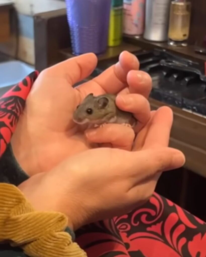 the woman is holding a mouse in her hands