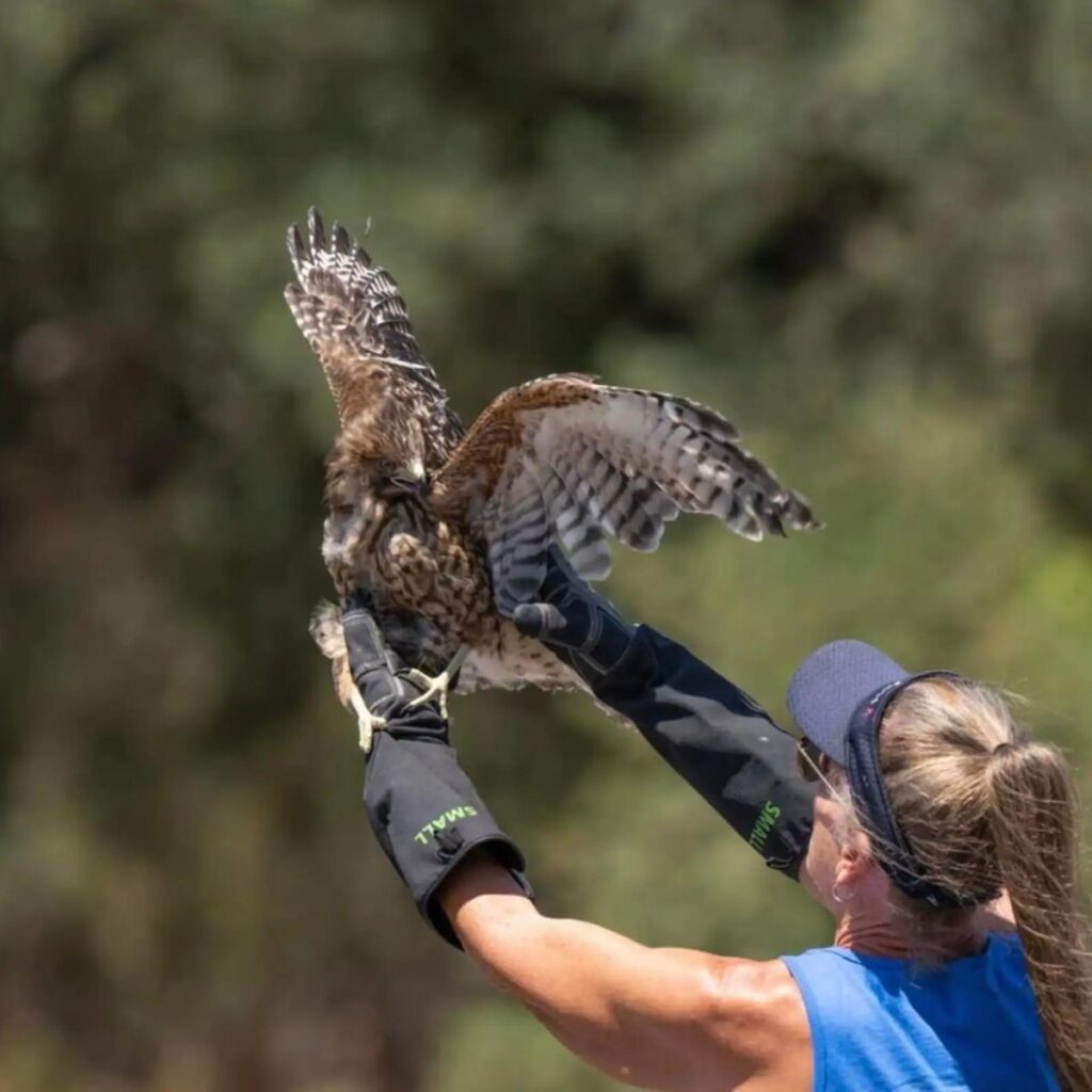 the woman releases the bird from her hands