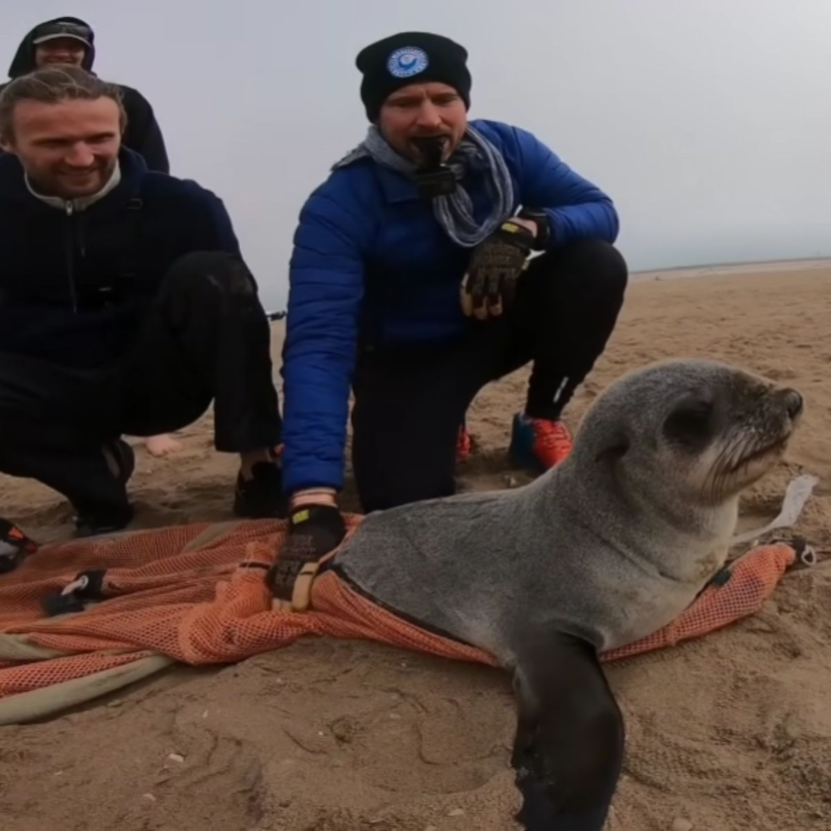 two men released the seal