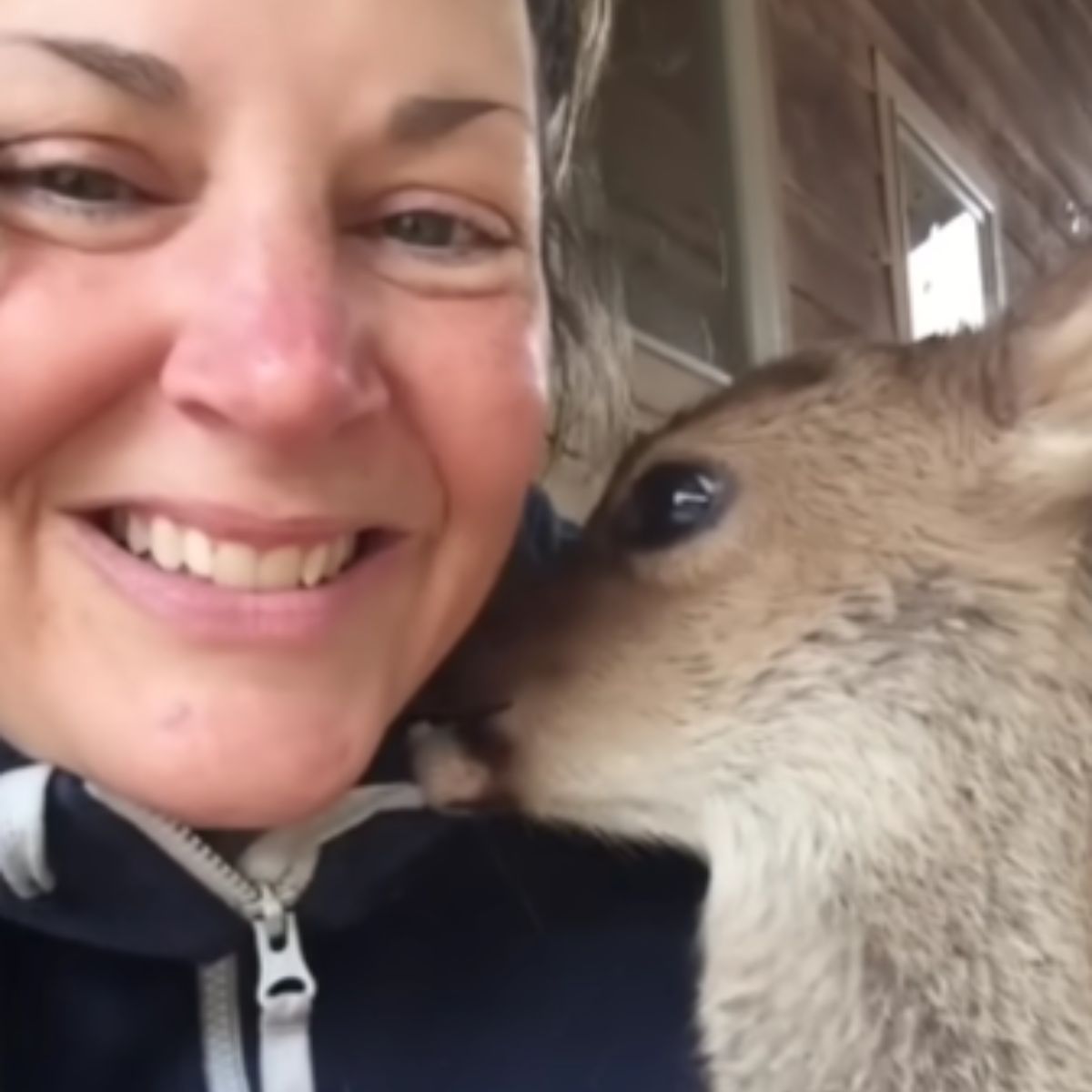 woman and deer