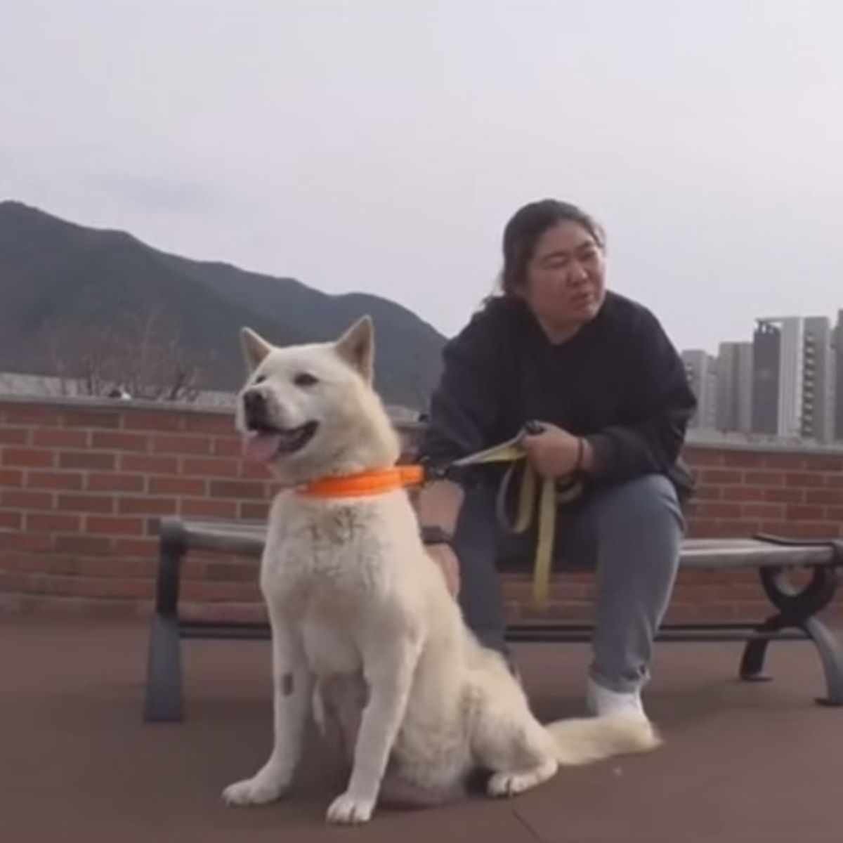 woman and dog outdoors