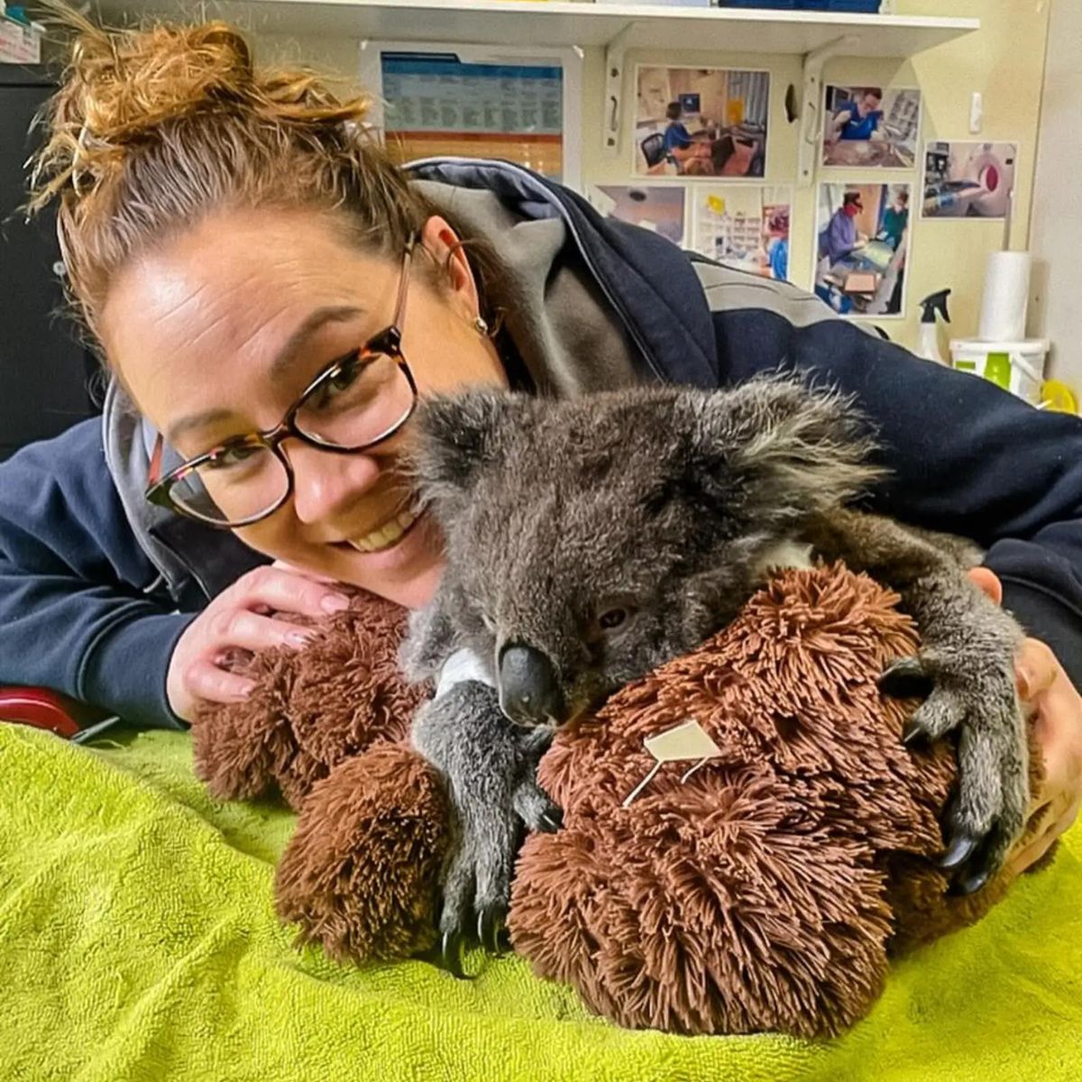 woman and koala