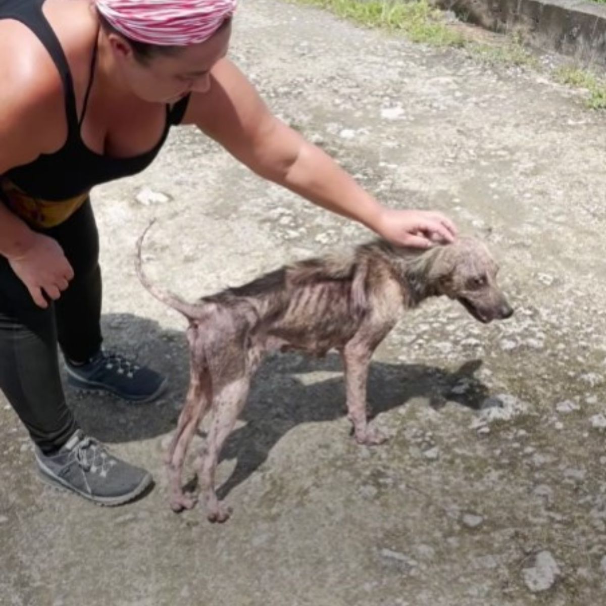 woman and very skinny dog