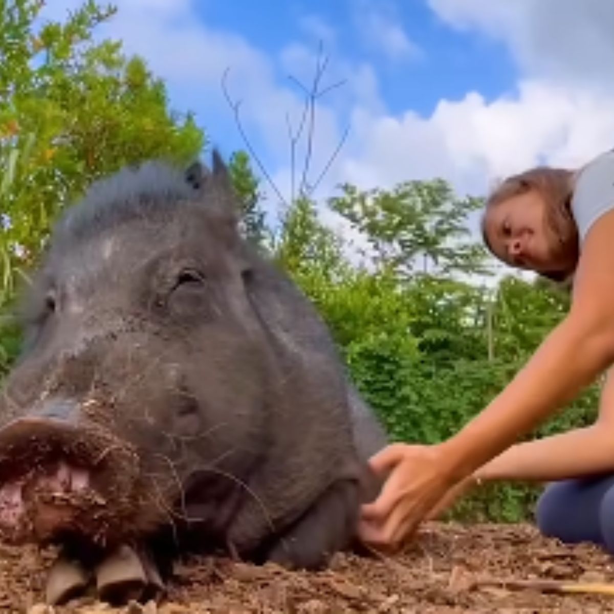 woman and wild boar