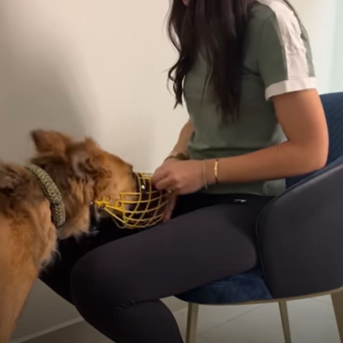 woman fixing dogs mask