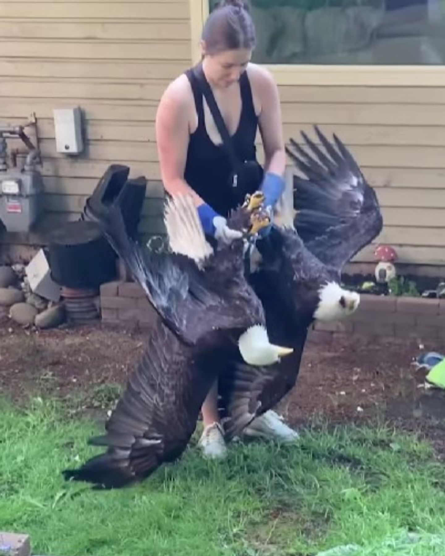 woman helping entangled eagles