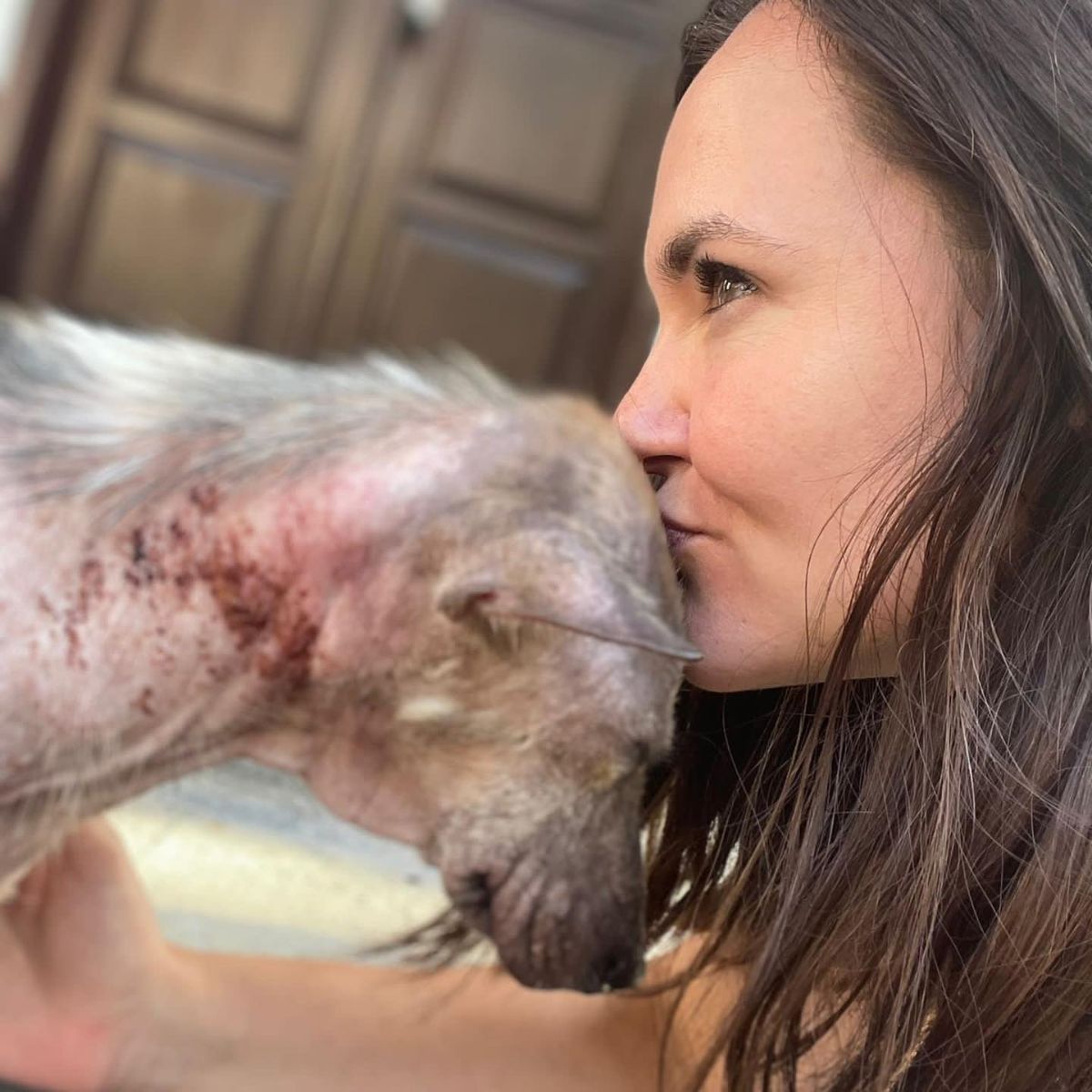 woman kissing a dog