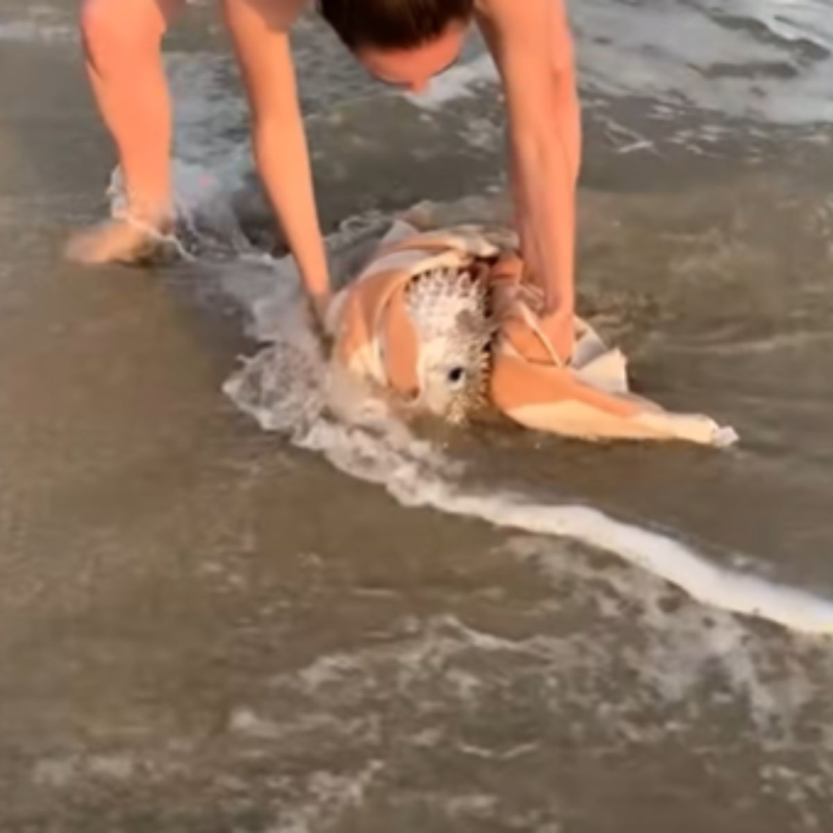 woman saving the fish