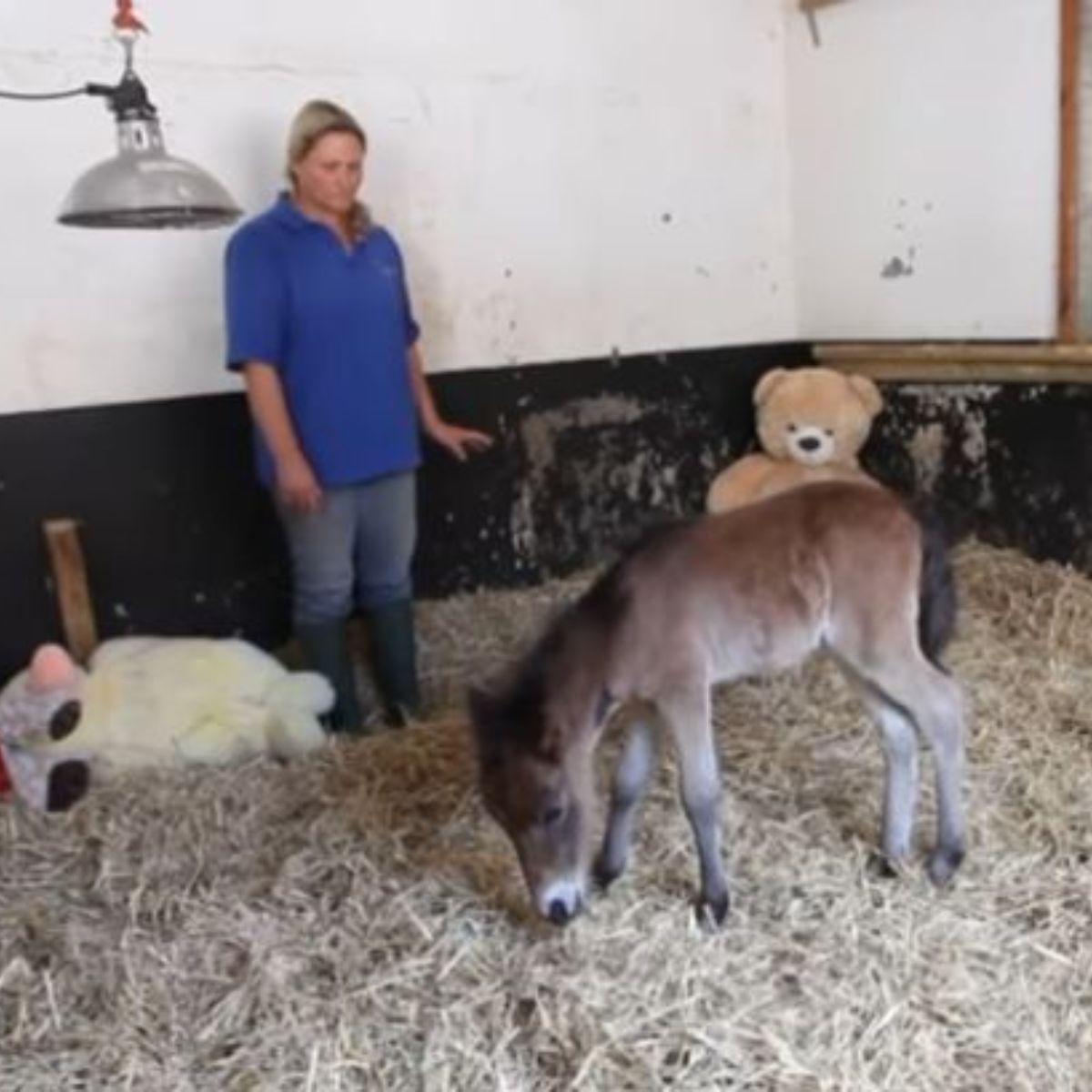 woman standing by the pony