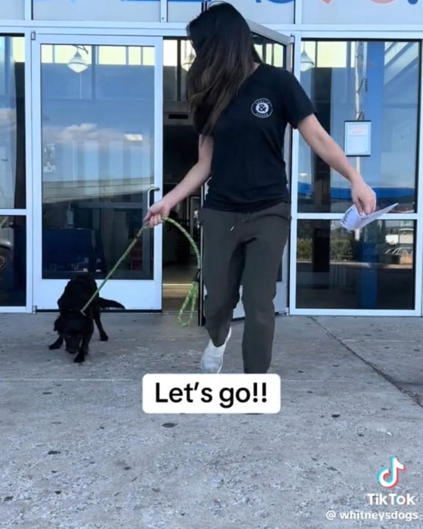 woman taking a dog from shelter