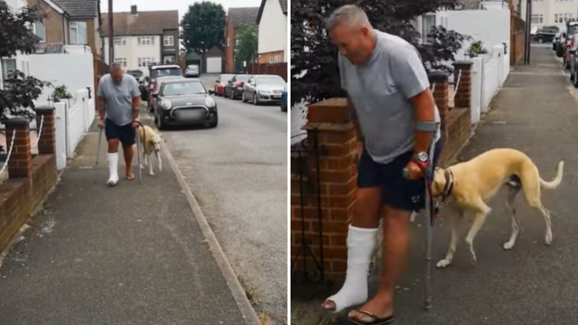 dog limps as his owner