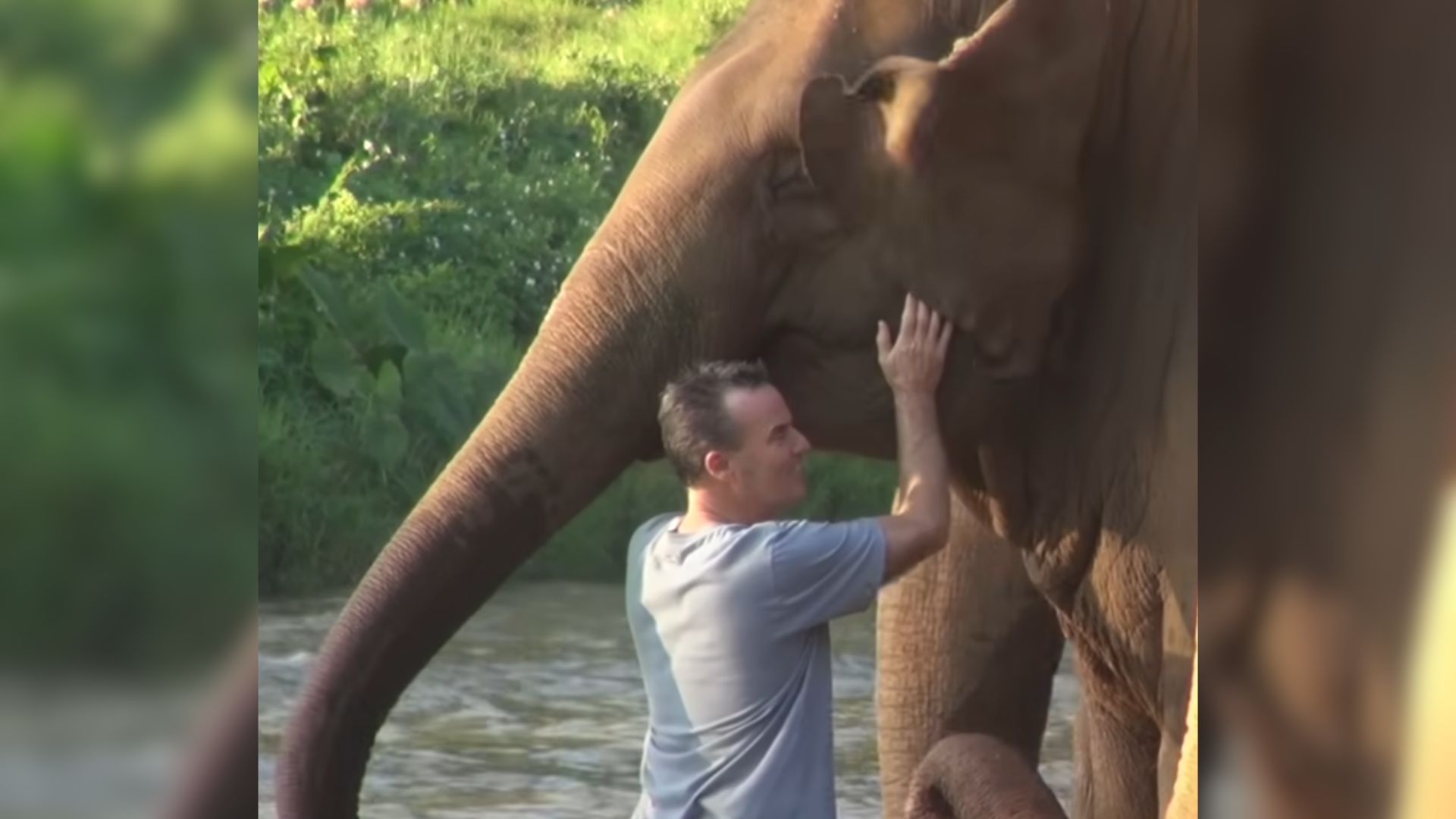 elephant with her caretaker