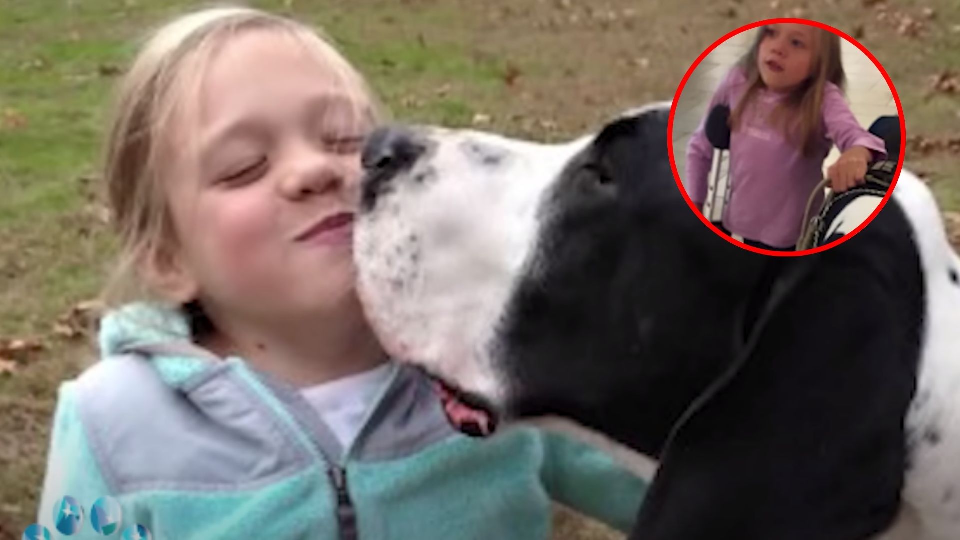 Incredible Service Dog Helps Little Girl With Rare Condition To Take Her First Steps