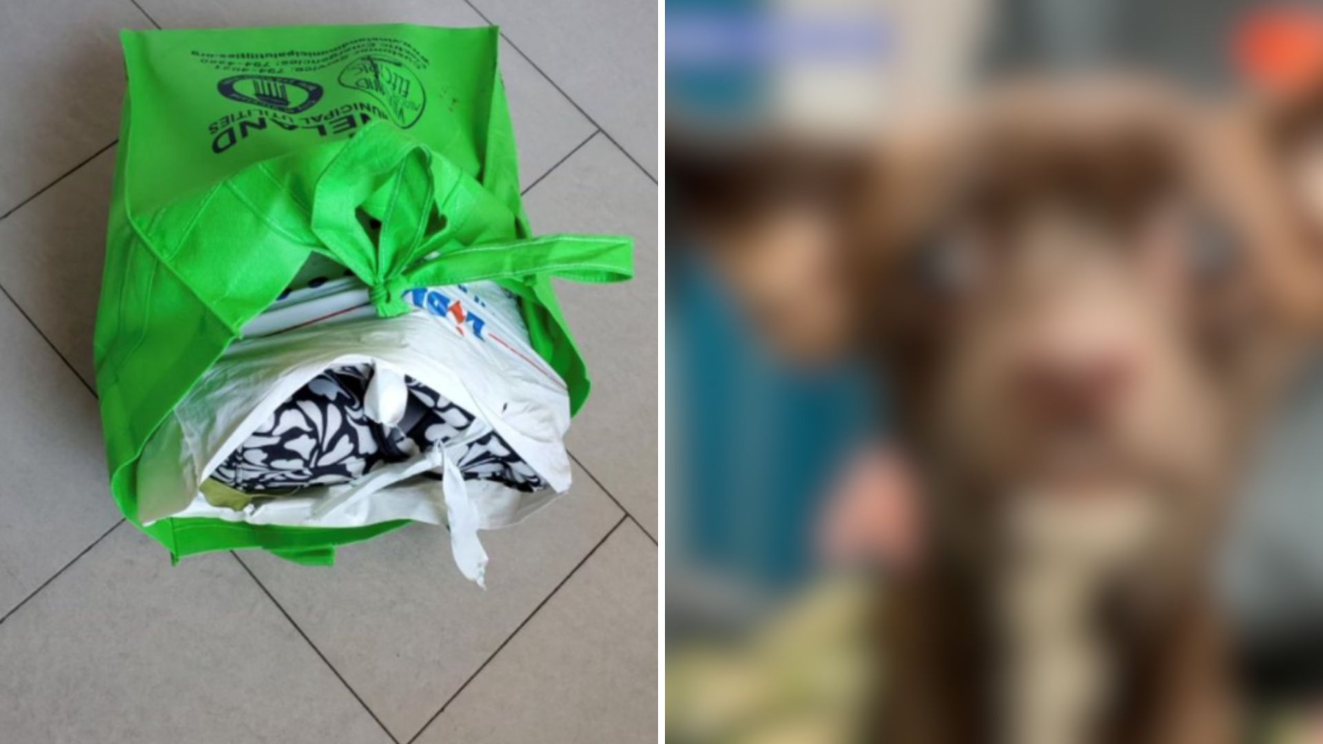 Man Finds A Moving Plastic Bag Next To A Train Track