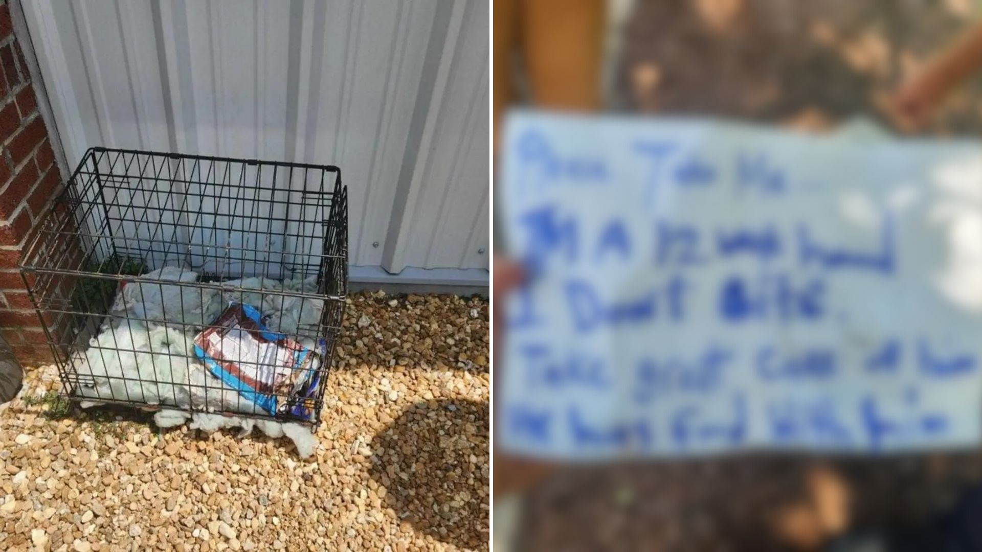 Man Stumbles Upon A Wire Crate With A Note That Says ‘Please, Take Me’