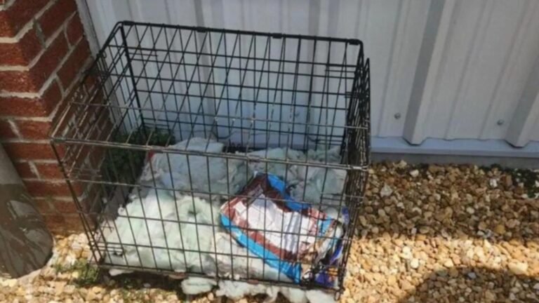 crate