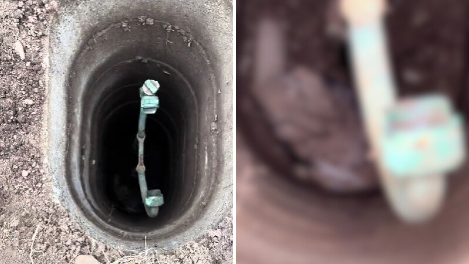 Wildlife Rescuer Sees Something Stirring At The Bottom Of A Meter Well Then Takes A Closer Look