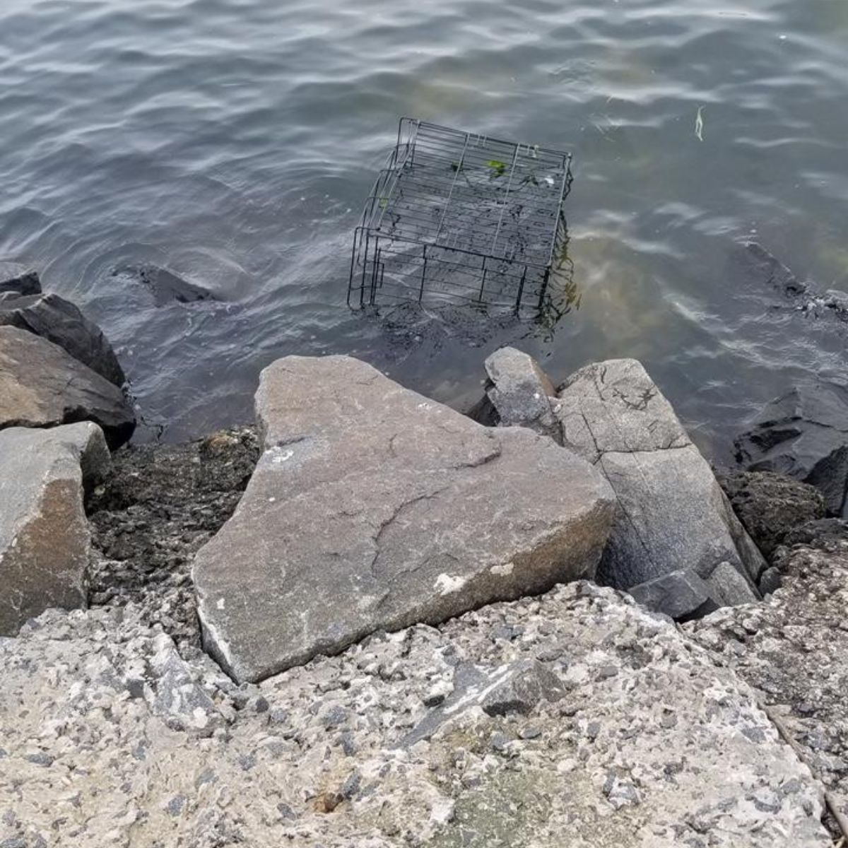 a cage in the water