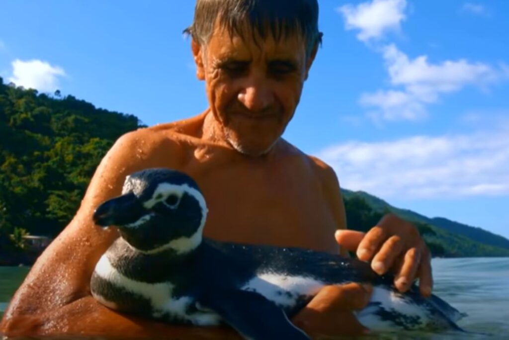 a man with a penguin in the water