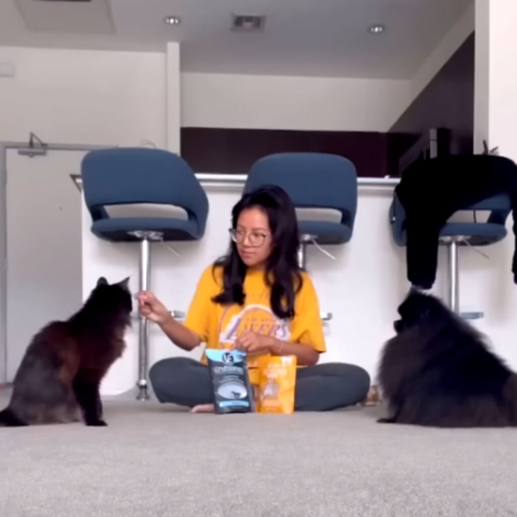 a woman sits on the floor and feeds two cats