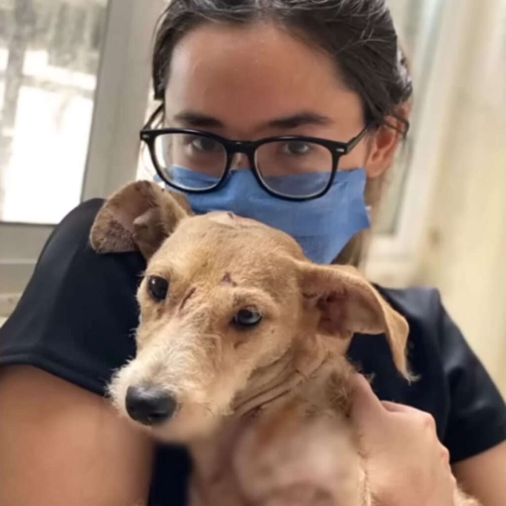 a woman with glasses takes a picture with a dog in her arms