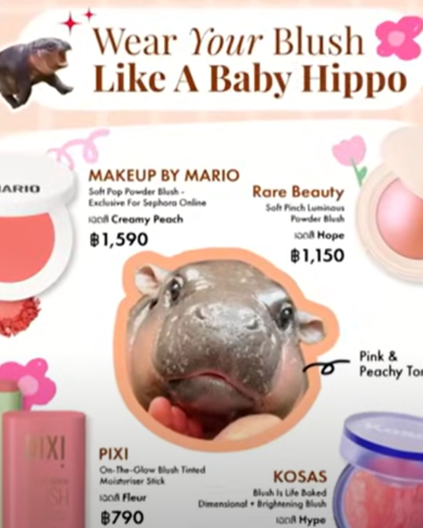 baby hippo on a flyer