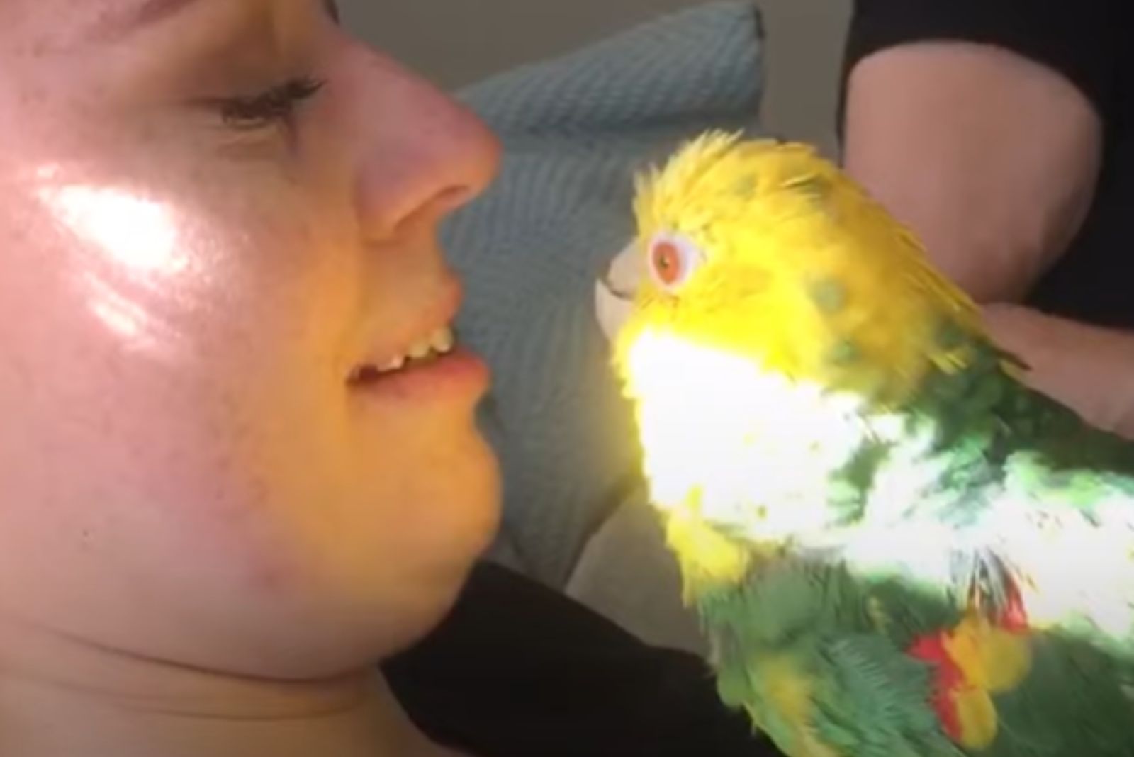 close-up photo of woman and a parrot