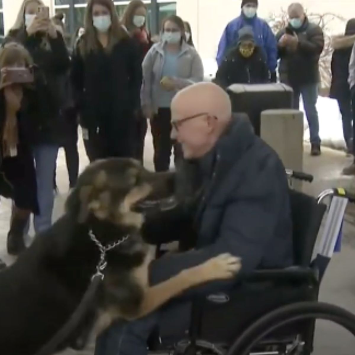 dog and his owner in a wheelchair