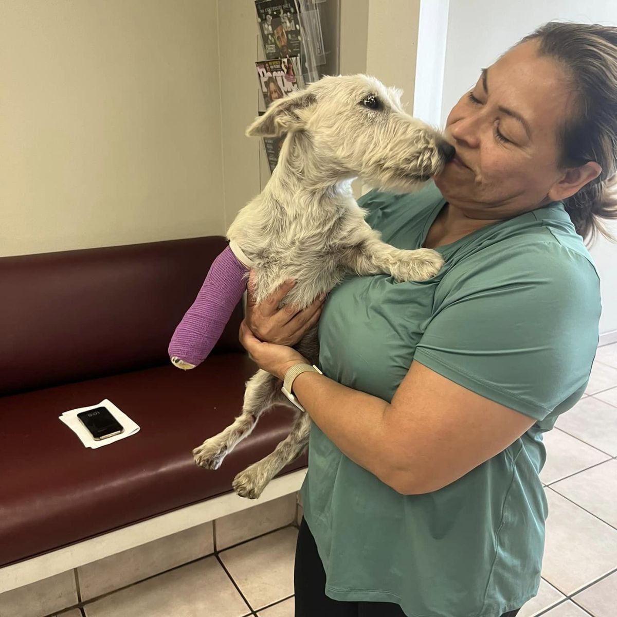 dog licking woman's face