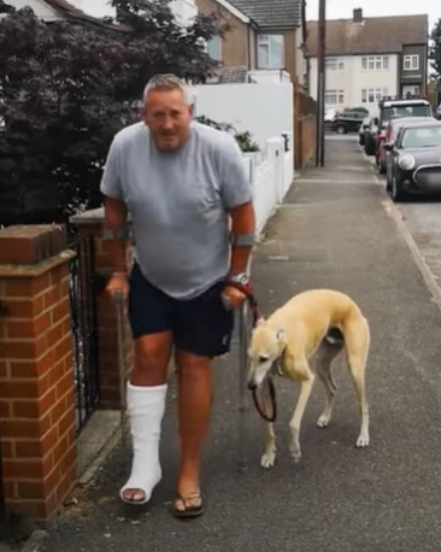 dog limping as his owner