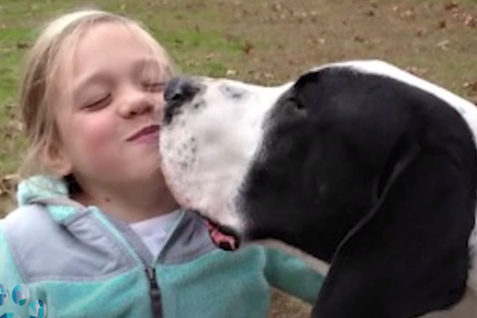 girl and dog