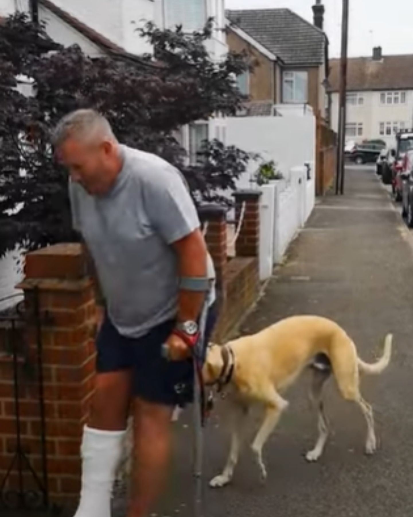 injured man walking with his dog