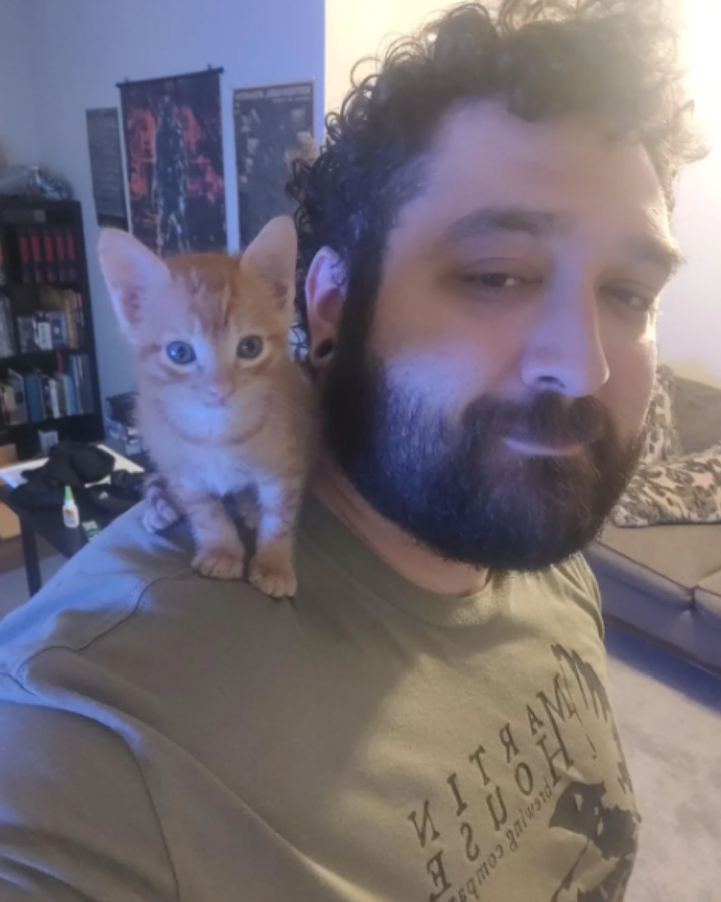 kitten on man's shoulder