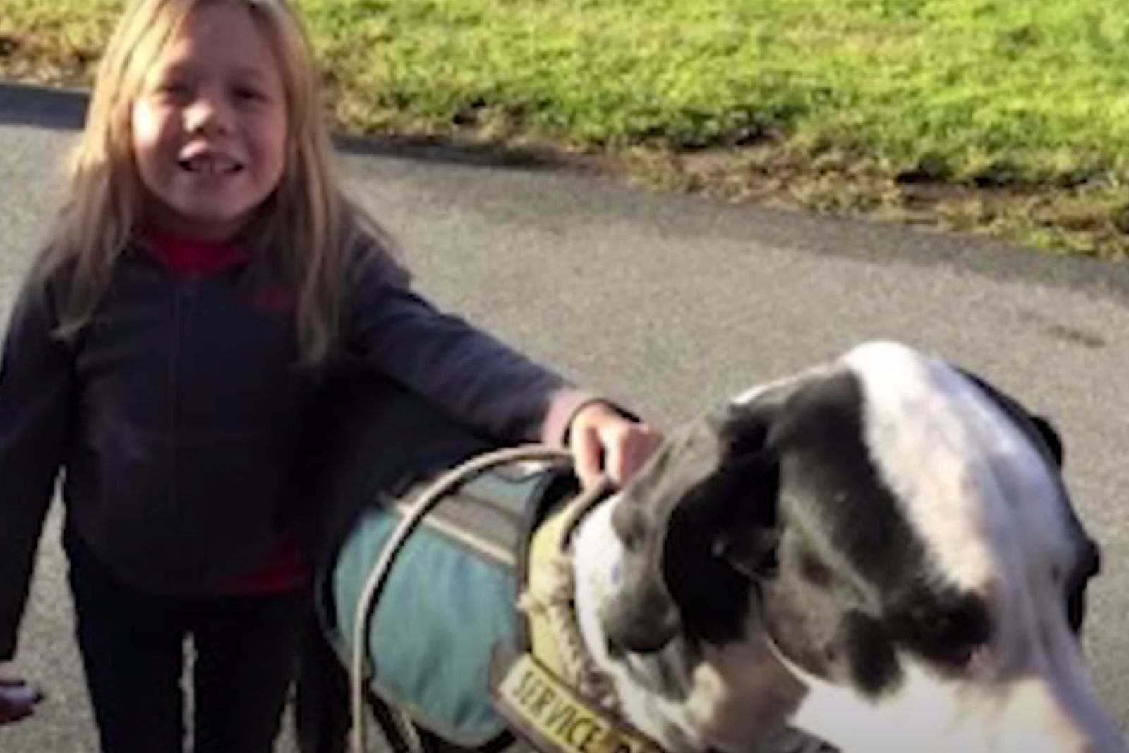 little girl and dog