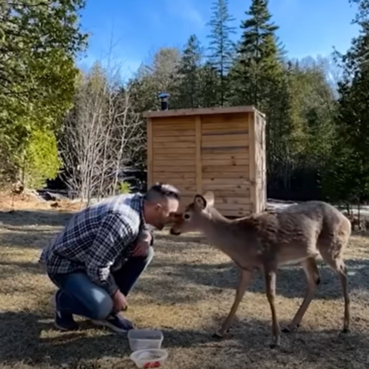 man and a fawn