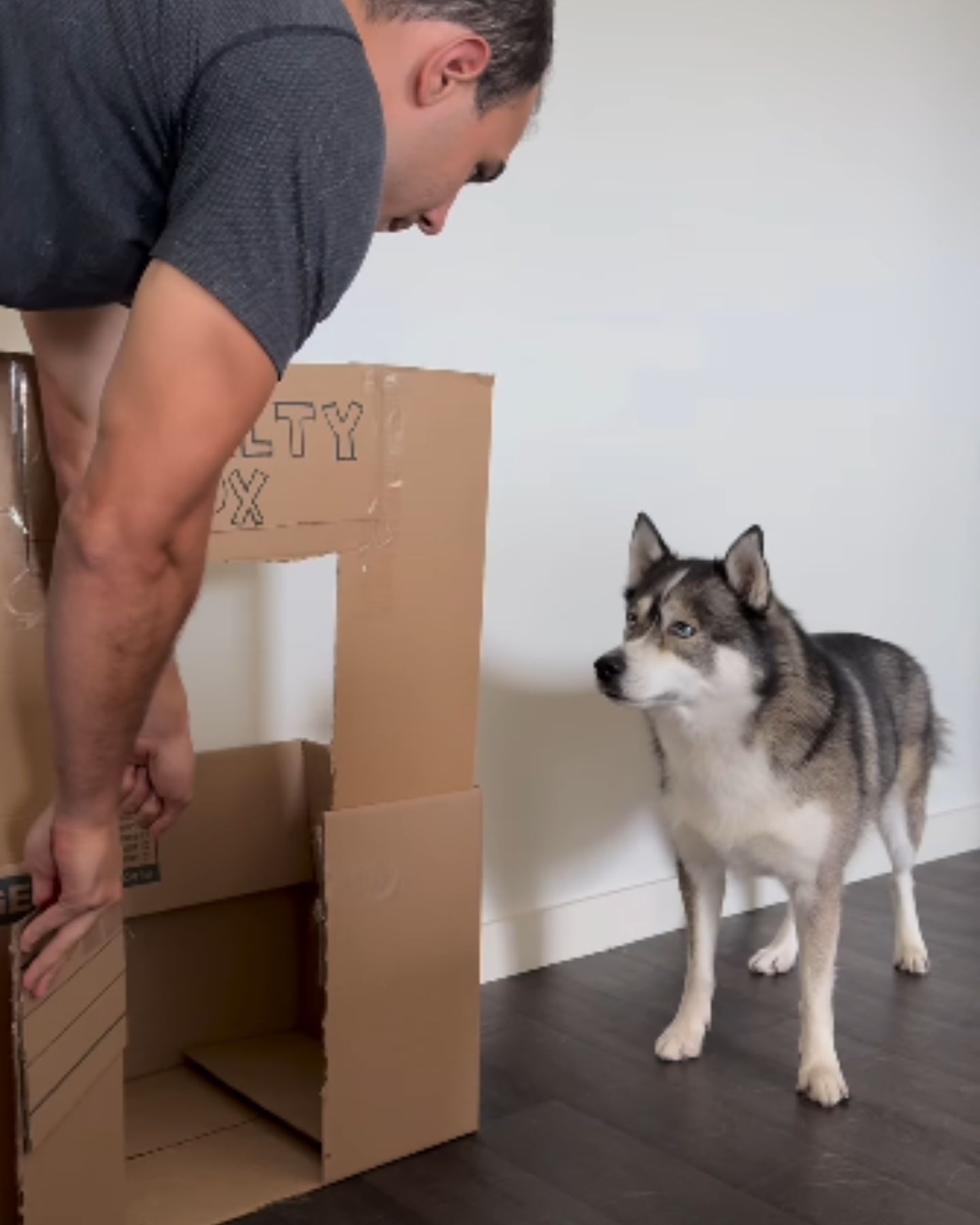 man and huskie dog