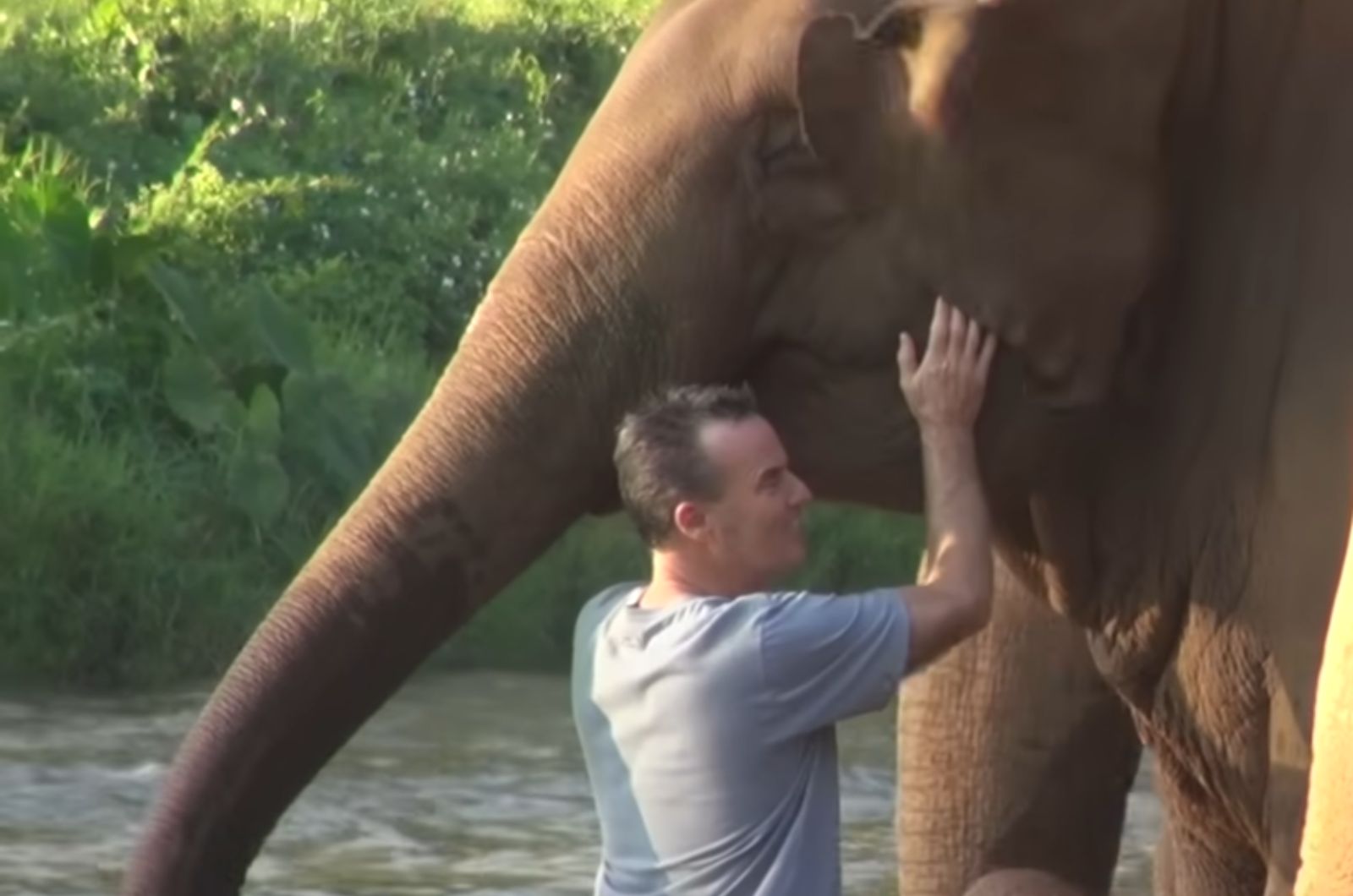 man draging elephant