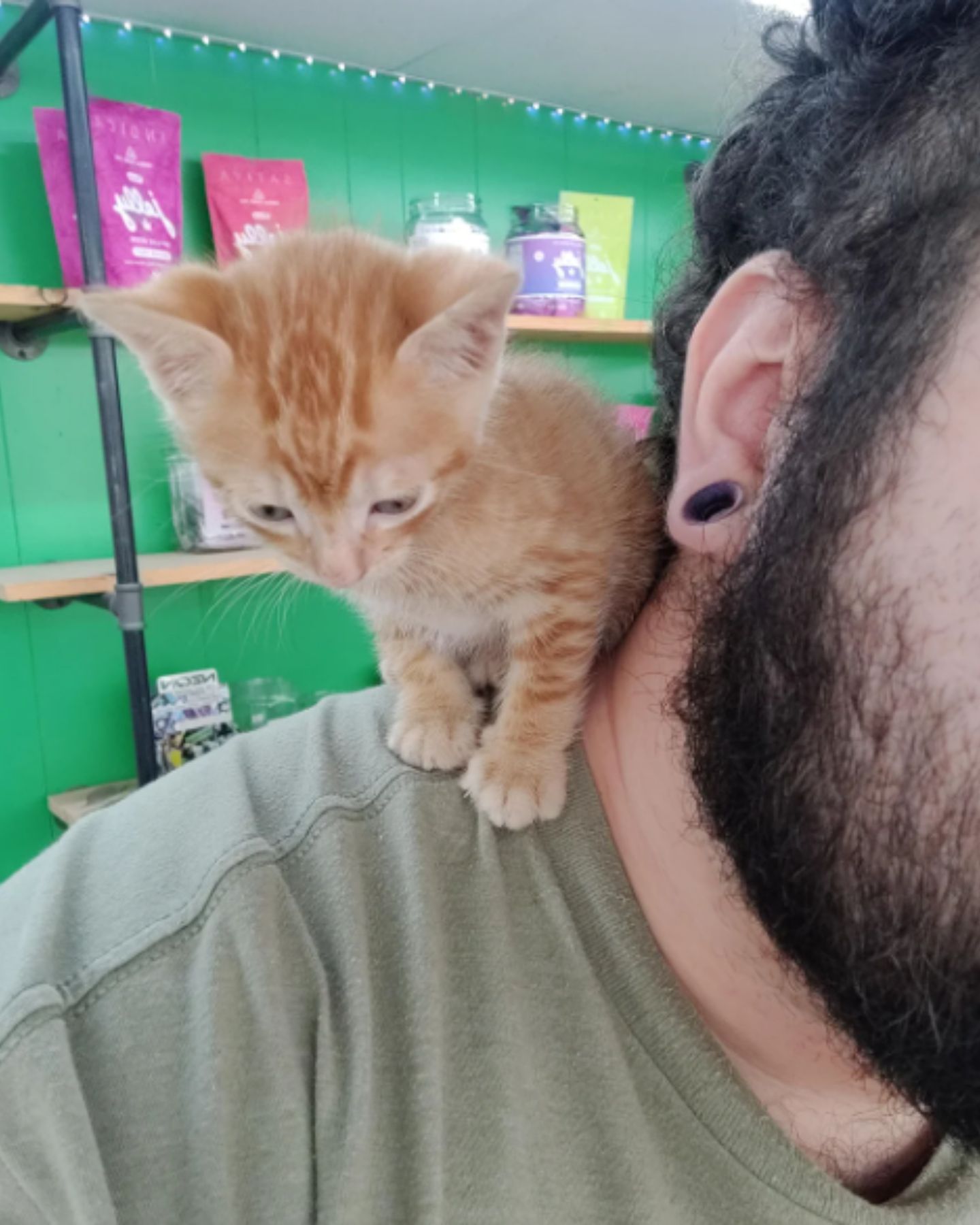 man holding tiny cat on his shoulder