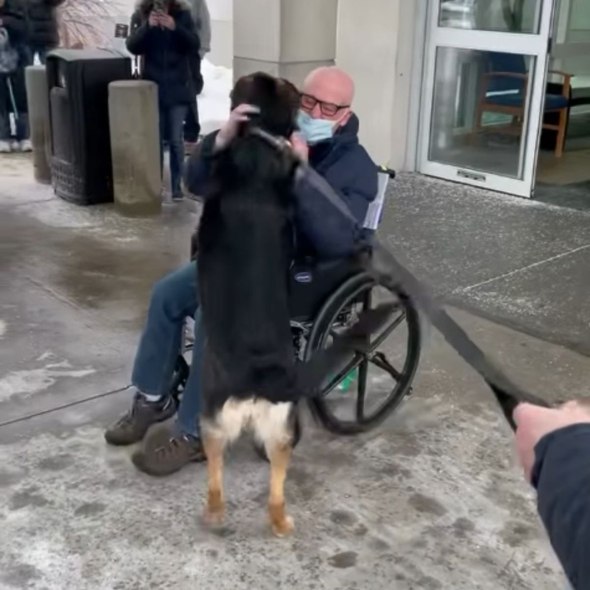 man in wheelchair and dog