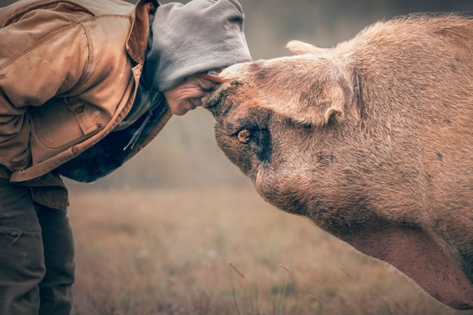 man leaning on piglet