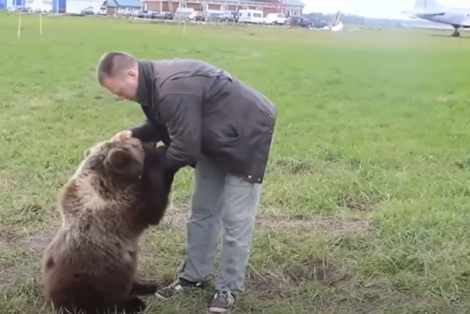 man playing with bear cub