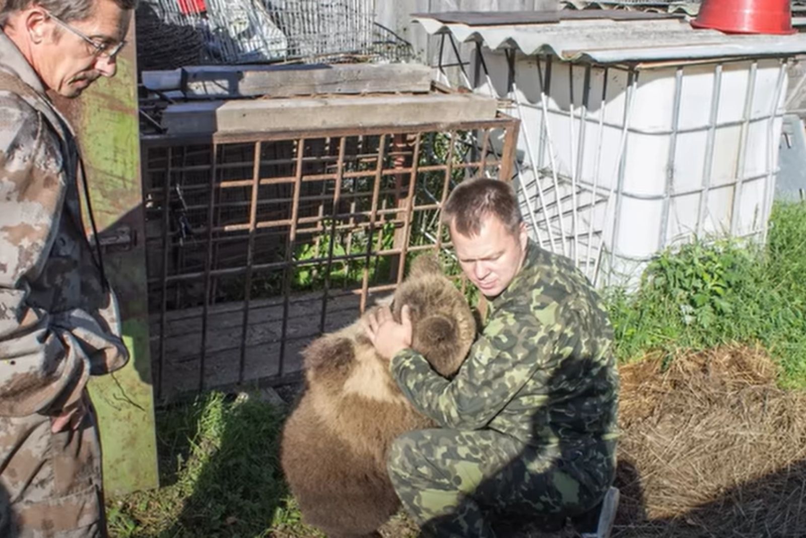 man saving a bear cub