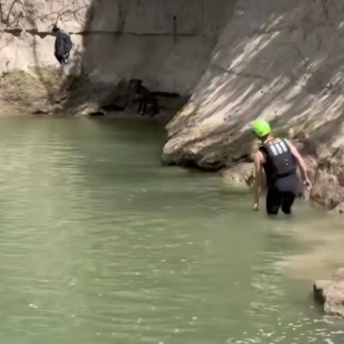 man saving a dog