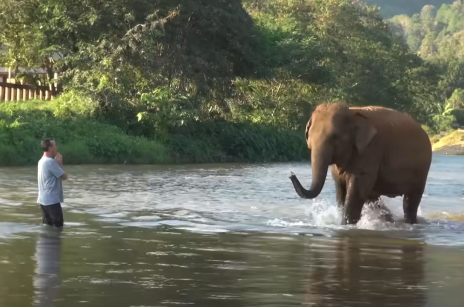 man standing in front of elephant