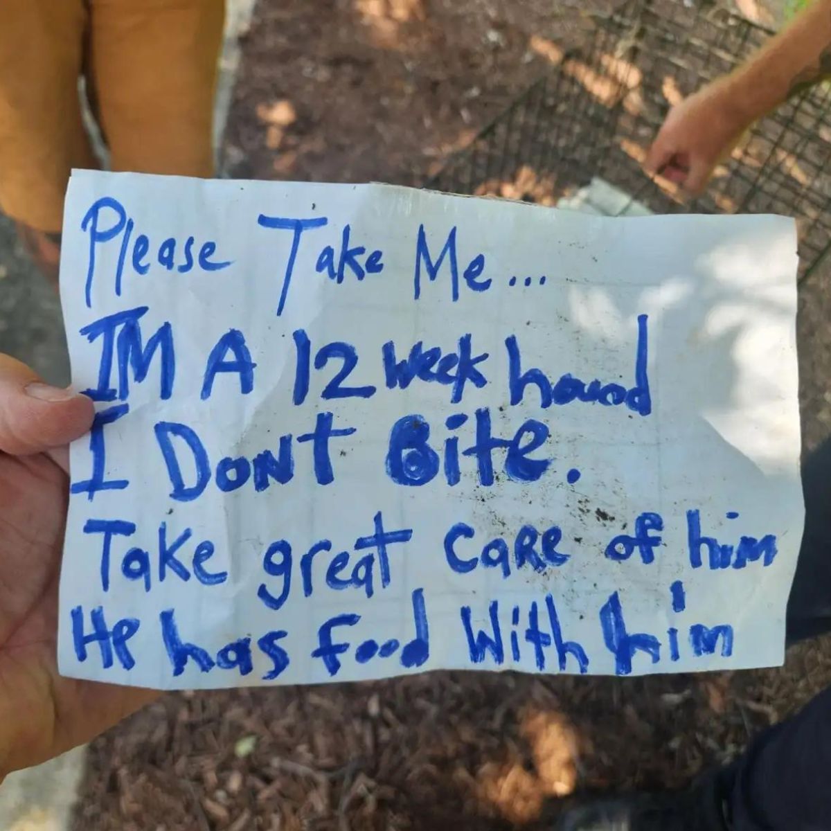 note for dog