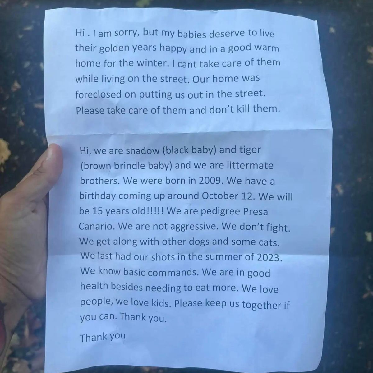 note left with the dogs