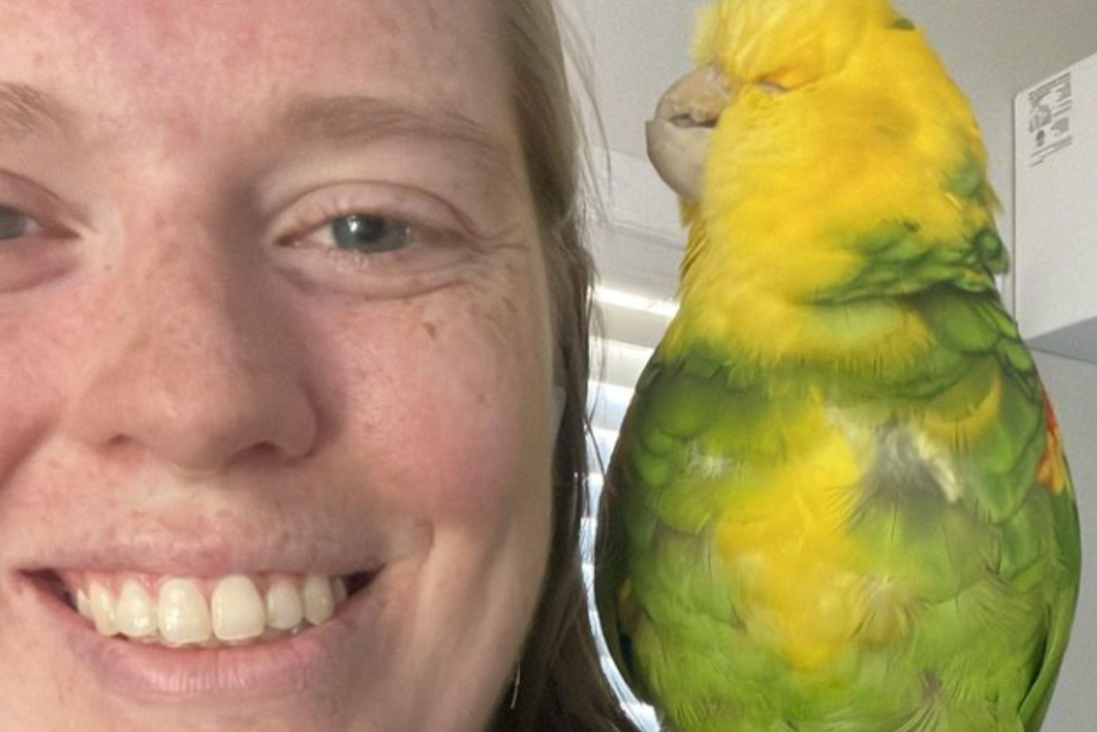 parrot on woman's shoulder