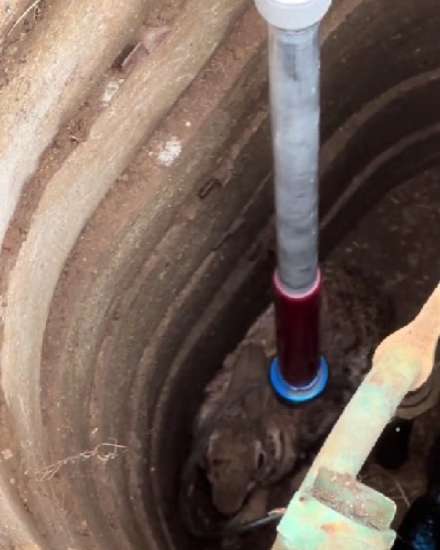 photo of rabbit in a well