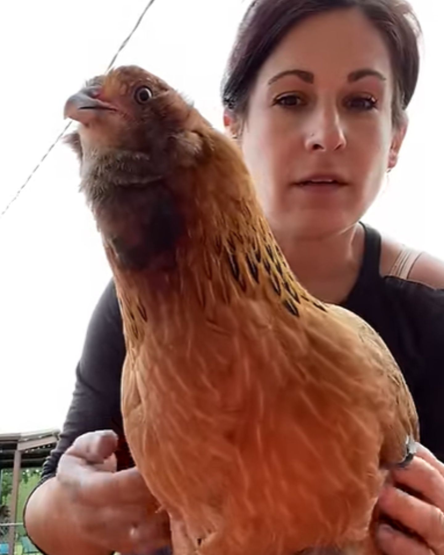 photo of woman tickling chicken